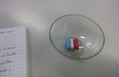 Choses vues à la mi-septembre 2024 à Rennes