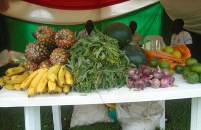 Participation dans une foire nationale agricole et forum national paysan du 4 au 7 Septembre 2018