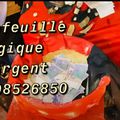 Bedou magique Cote d'ivoire +22998526850