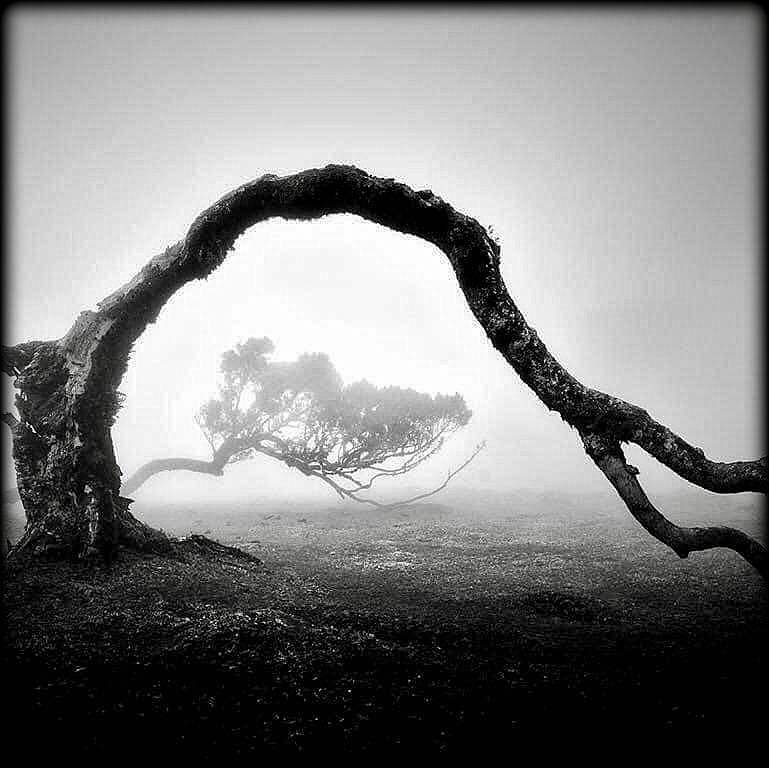 KIKI DIMOULA, ECHEC, EXISTENCE, VIE, MORT, SILENCE