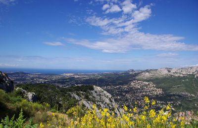 Le Domaine de mon vieil ami