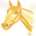 Aquarelle - Cheval