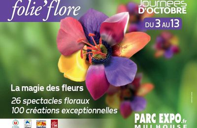 Quelques images de Folie’Flore 2013 à Mulhouse
