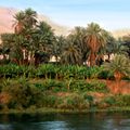Image d’Egypte...Le Nil