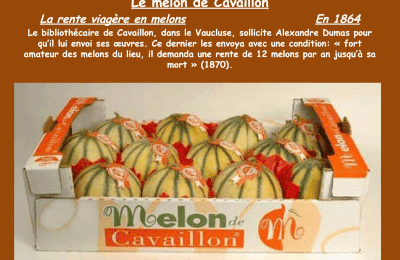 le melon de Cavaillon, en 1864