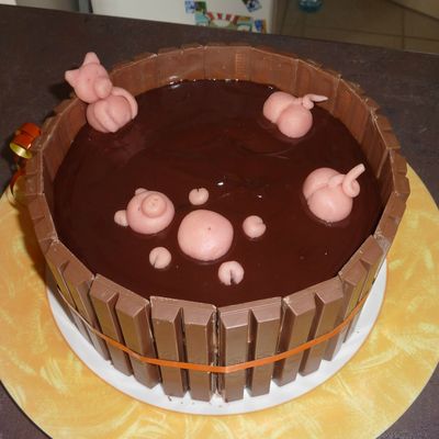 JACUZZI POUR COCHONS