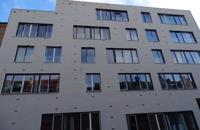 Briques-nichoirs : habitat partagé... pour humains et martinets !