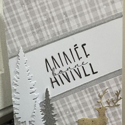 CHOIX MULTIPLE DECEMBRE 