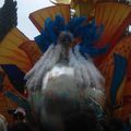 Carnaval NICE 2011 : les rois de la méditérrannée