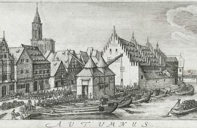 W. Hollar - Strasbourg XVIIe