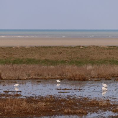 Baie du Mont-Saint-Michel.