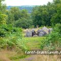 Brocéliande.."L'Hôtier de Viviane"(maison)