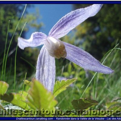 Poème de Jean-Louis Garac