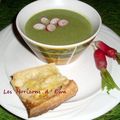 Potage aux radis roses