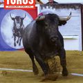 Le numéro 2011 de TOROS est paru le 16 octobre