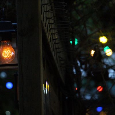 photos de juillet en vrac