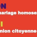 Le mariage pour tous : la grande mystification du pouvoir socialiste