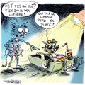 Une dent contre les chats squatteurs 