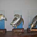 Les trophées du FISM 2010