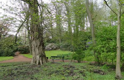 Dans le parc de Mariemont