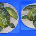 Tortue marine sur melon vert