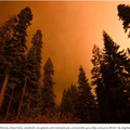 Incendies en Californie