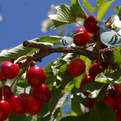 Message personnel !!!