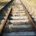 Je marche sur les rails (Joye)