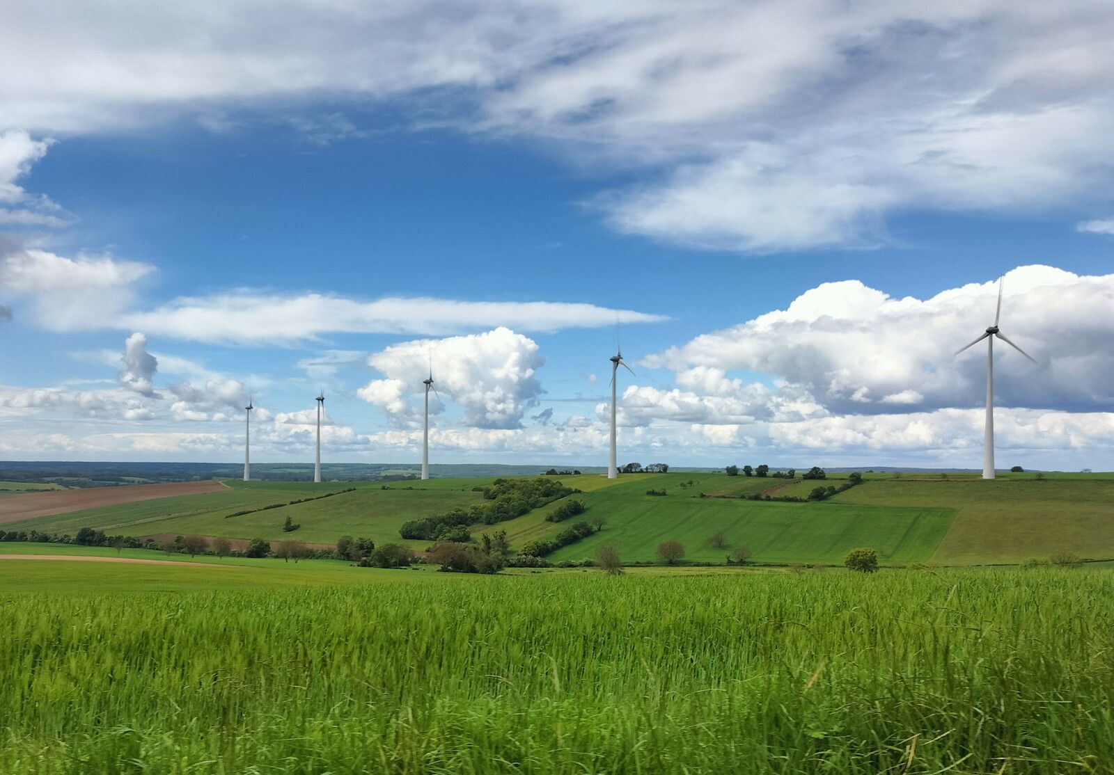 Bouhy, éoliennes (58)
