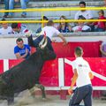 Finale de l'Ecole Taurine de Châteaurenard à Saint-Rémy