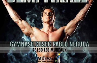 LES 8 ET 9 AVRIL 2016 DEMI-FINALE NORD