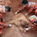 38 morts après le séisme de samedi dernier dans le sud-ouest de la Chine 