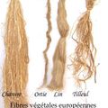 Les fibres végétales