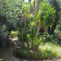 Un jardin planétaire surplombant la méditerranée...
