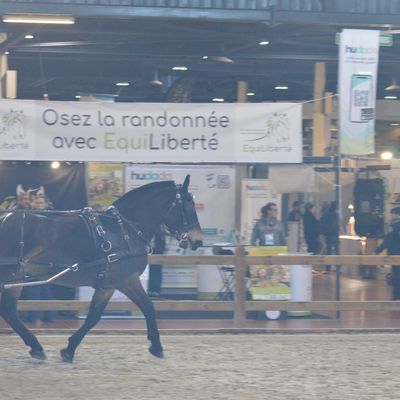 ANGERS 2023 SALON DU CHEVAL