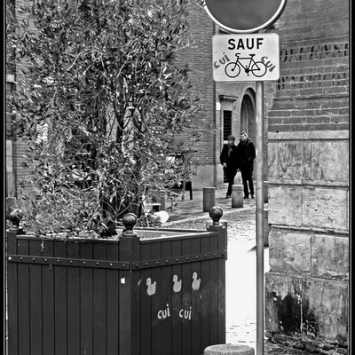 Toulouse de long en large