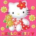 ♥ Hello Kitty insoooliiiite ♥