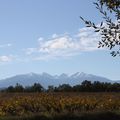 LE CANIGOU