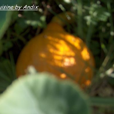 moelleux de potimaron à la farine de quinoa