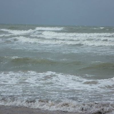 En partance pour le Pays des Mouettes...