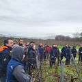 Le tailleur qui s'impose au Château Guiraud est...