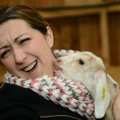 Les petits de l'année