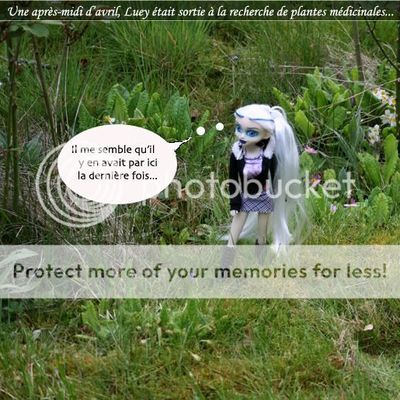 01 - MON NOM EST NEANT