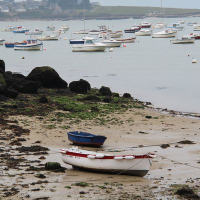 Moments choisis 16**