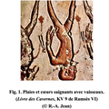 Anatomie égyptienne des vaisseaux Ⓓ
