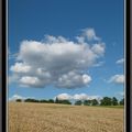 Paysage et cèpes à volonté...