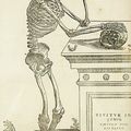 'Memento Mori - Looking at Death in Art and Illustration' at Vanderbilt Fine Arts Gallery