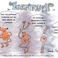 Profession comique