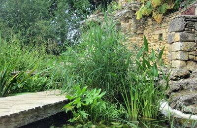 Les jardins panoramiques de Limeuil (Dordogne) (10)
