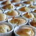 Soirée USA, Part 4 : Muffins Poire - Cranberries